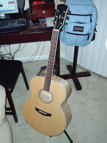 cort parkwood acoustic guitar